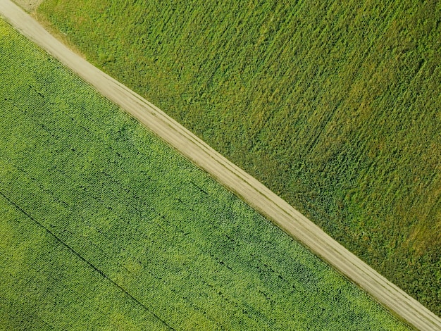 Vista aerea dall'alto della strada tra due campi verdi