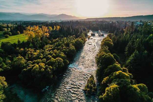 Vista aerea dall'alto di alberi autunnali verdi nella foresta in Slovacchia Fotografia drone Ecosistema della foresta pluviale e concetto di ambiente sano Fiume di montagna xDxA