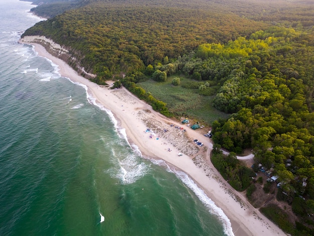 Vista aerea dall'alto di una bellissima spiaggia con foresta e sabbia