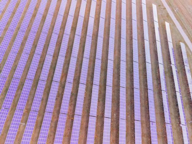 Vista aerea dall'alto di una centrale elettrica a pannelli solari Pannelli solari fotovoltaici all'alba e al tramonto in campagna dall'alto Tecnologia moderna cura del clima risparmio di terra concetto di energia rinnovabile