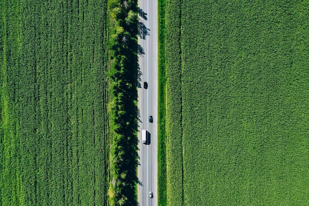 Vista aerea dall'alto di una strada asfaltata rurale attraverso un campo di mais verde in estate