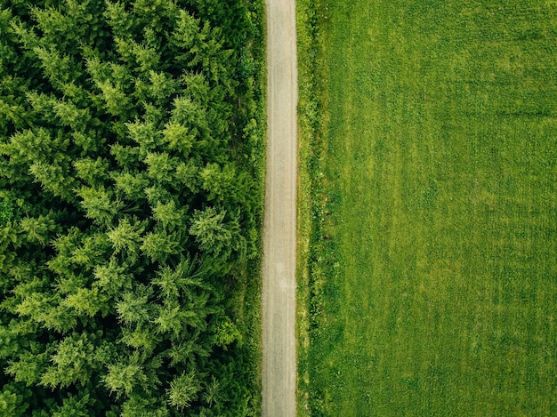 Vista aerea dall'alto di una strada di campagna attraverso una foresta di abeti e un campo verde in estate nella Finlandia rurale