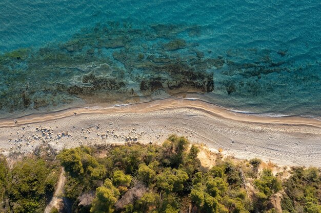 Vista aerea dall'alto verso il basso di una stretta striscia di spiaggia di sabbia delimitata da una foresta verde e da un mare turchese