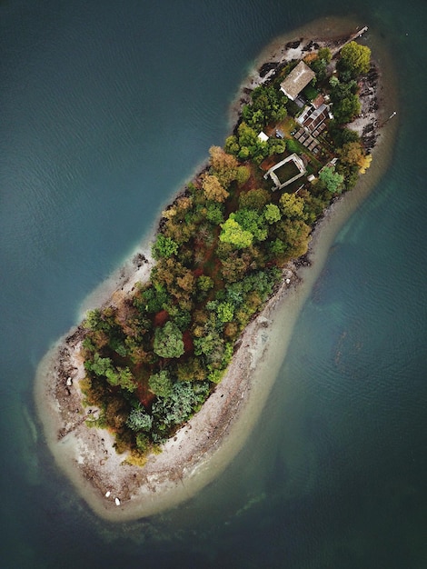 Vista aerea degli alberi sull'isola