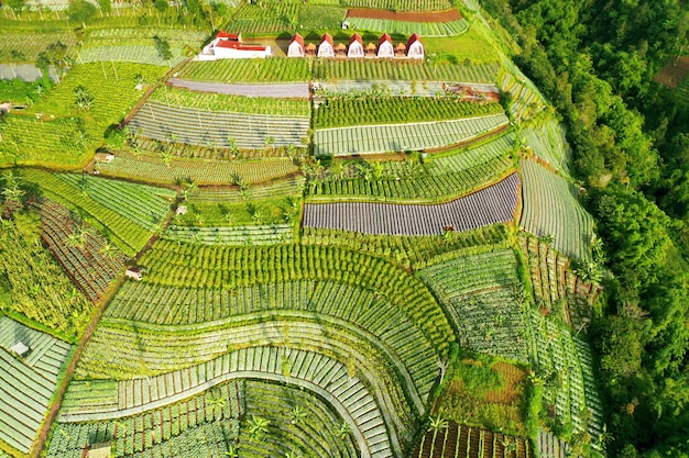 Vista aerea degli edifici della villa nell'altopiano di Silancur