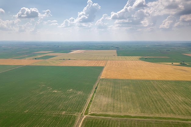 Vista aerea dei campi agricoli Campagna Paesaggio agricolo Veduta aerea