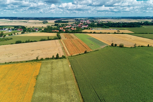 Vista aerea dei campi agricoli e verdi in campagna