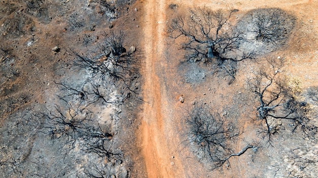 Vista aerea dei droni sulle conseguenze degli incendi in Grecia