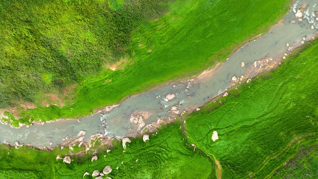 Vista aerea del bellissimo flusso d'acqua naturale e del campo verde d'erba nel concetto di montagna della foresta selvaggia che viaggia e si rilassa in vacanza