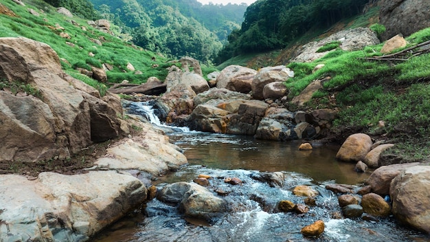 Vista aerea del bellissimo flusso d'acqua naturale e del campo verde d'erba nel concetto di montagna della foresta selvaggia che viaggia e si rilassa in vacanza