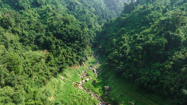 Vista aerea del bellissimo flusso d'acqua naturale e del campo verde d'erba nel concetto di montagna della foresta selvaggia che viaggia e si rilassa in vacanza