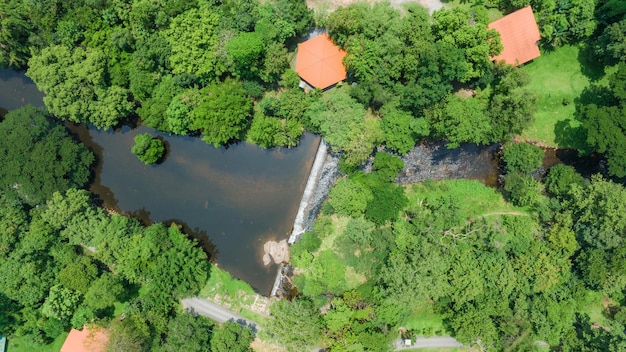 Vista aerea del bellissimo flusso d'acqua naturale e del campo verde d'erba nel concetto di montagna della foresta selvaggia che viaggia e si rilassa in vacanza