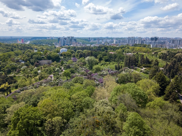 Vista aerea del bellissimo giardino botanico verde in estate e degli edifici della città all'orizzonte