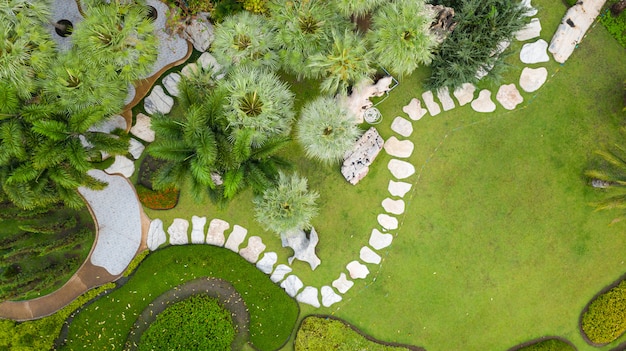 Vista aerea del bellissimo giardino verde