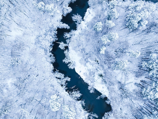 Vista aerea del bosco innevato e del piccolo fiume in inverno