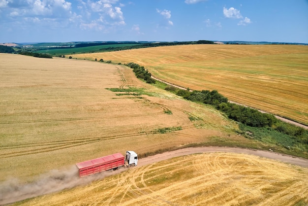 Vista aerea del camion del carico del camion che guida su strada sterrata tra i campi di grano agricoli. Trasporto del grano dopo essere stato raccolto dalla mietitrebbia durante la stagione di raccolta