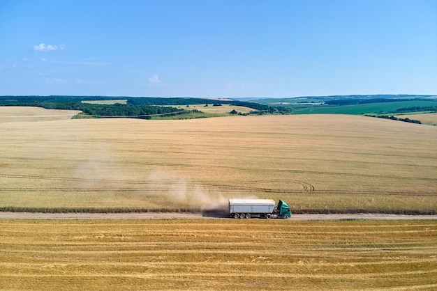 Vista aerea del camion del carico del camion che guida su strada sterrata tra i campi di grano agricoli. Trasporto del grano dopo essere stato raccolto dalla mietitrebbia durante la stagione di raccolta.