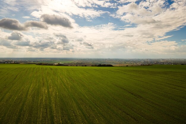 Vista aerea del campo agricolo verde brillante all'inizio della primavera.