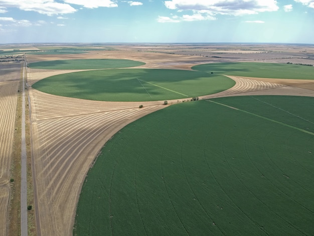 Vista aerea del campo circolare in Ucraina