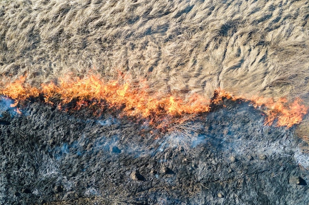 Vista aerea del campo di prati che brucia con fuoco rosso durante la stagione secca. Concetto di disastro naturale e cambiamento climatico