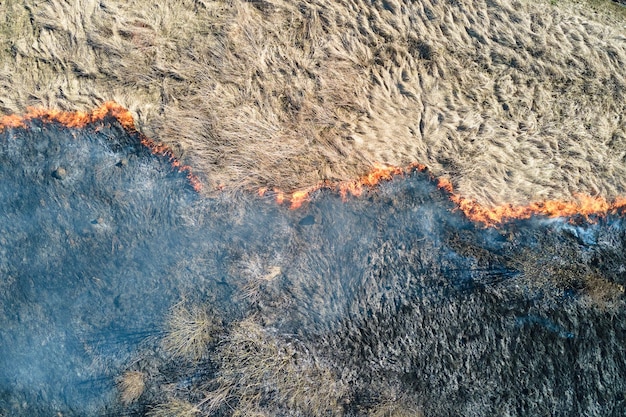Vista aerea del campo di prati che brucia con fuoco rosso durante la stagione secca Disastro naturale e concetto di cambiamento climatico