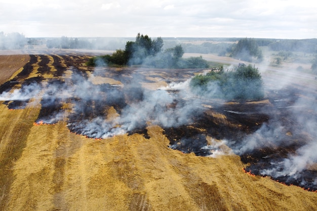 Vista aerea del campo in fiamme con fumo in terreni agricoli