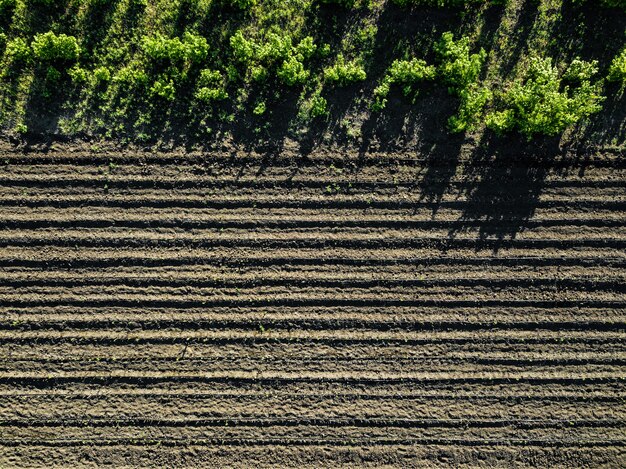 Vista aerea del campo seminato e coltivato in una giornata di sole primaverile, le ombre degli alberi si riflettono sul terreno.