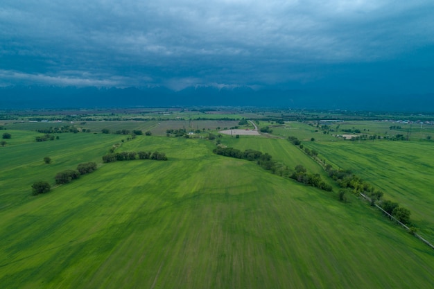 Vista aerea del campo verde