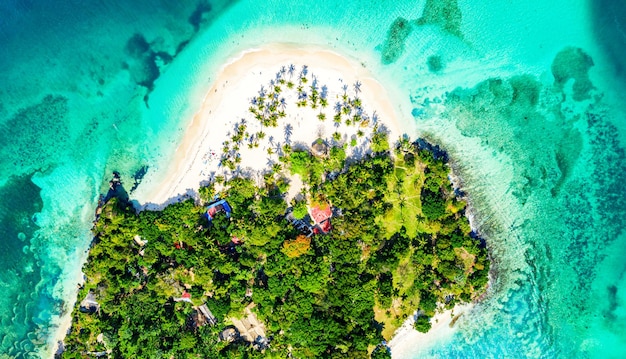 Vista aerea del drone della bellissima spiaggia tropicale caraibica di Cayo Levantado con palme. Isola Bacardi, Repubblica Dominicana. Sfondo di vacanza.