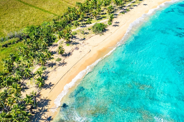 Vista aerea del drone della bellissima spiaggia tropicale caraibica selvaggia di Macao con palme. Repubblica Dominicana. Sfondo di vacanza.