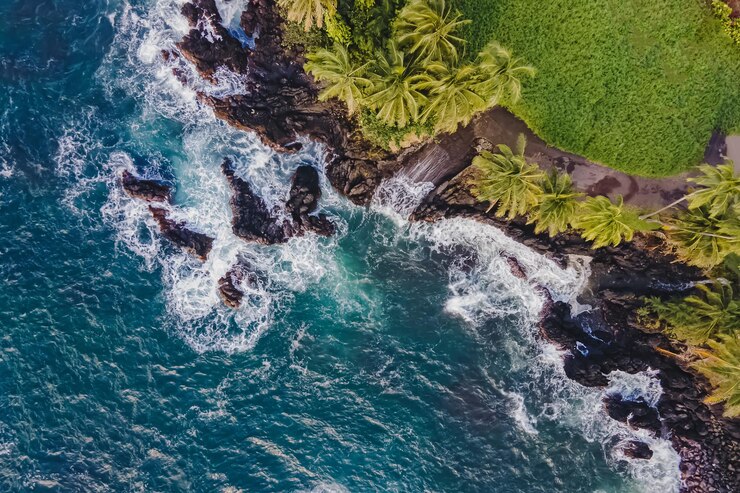 Foto vista aerea del drone della costa rocciosa con le palme sull'isola di maui alle hawaii