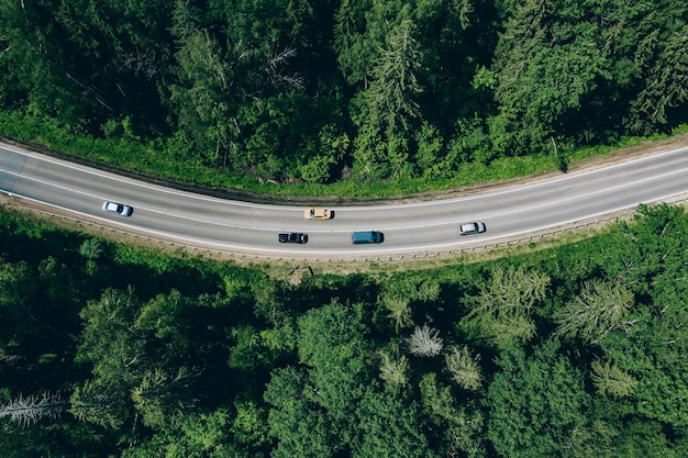 Vista aerea del drone della foresta verde estiva con strada curva