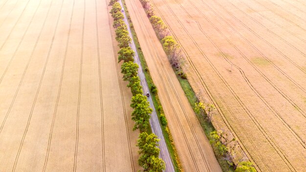 Vista aerea del drone della strada con le auto tra i campi di grano giallo