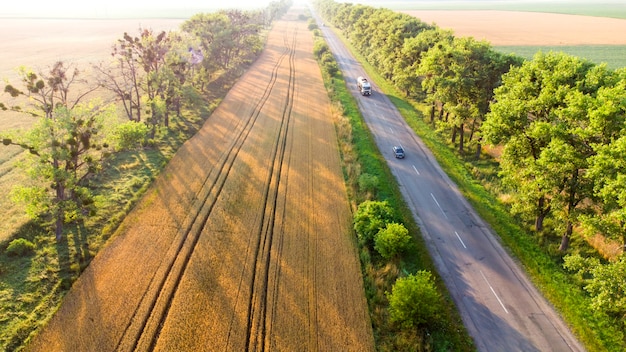 Vista aerea del drone della strada per auto con alberi verdi e lunghe ombre vicino ai campi di grano al mattino