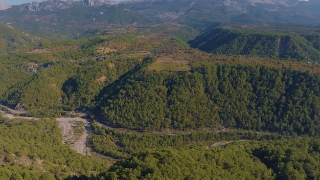 Vista aerea del drone di alberi verdi su una collina contro un cielo blu Paesaggio montano Canyon Green Forest Road