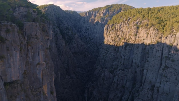 Vista aerea del drone Gli alberi crescono su alte rocce grigie Paesaggio di montagna Giorno di sole estremo Cielo blu