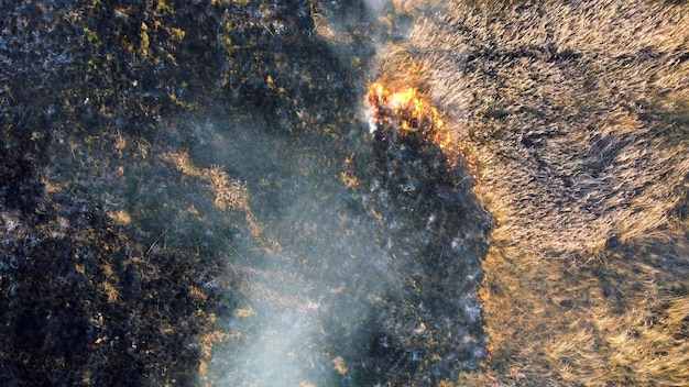 Vista aerea del drone su erba secca bruciata e fumo nella fiamma di campo e fuoco aperto