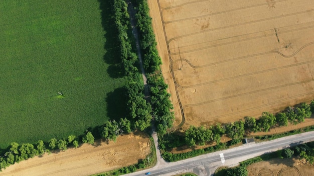 Vista aerea del drone sull'intersezione della strada asfaltata tra i campi agricoli