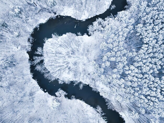 Vista aerea del fiume che scorre nella foresta innevata in inverno