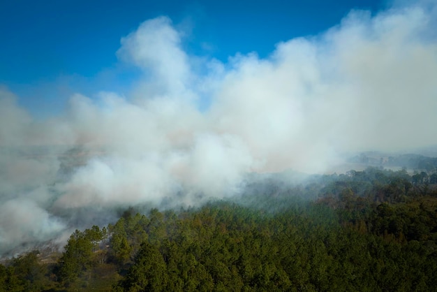 Vista aerea del fumo bianco da incendi boschivi che si alzano in atmosfera inquinante Concetto di disastro naturale