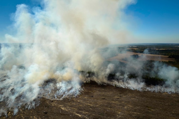 Vista aerea del fumo bianco da incendi boschivi che si alzano in atmosfera inquinante Concetto di disastro naturale