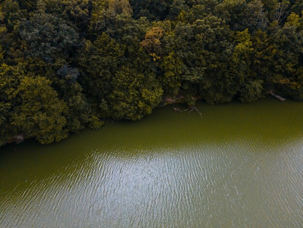 Vista aerea del lago barvinok nello spazio della copia del distretto di lviv