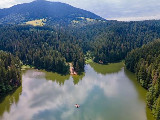 Vista aerea del lago synevyr nelle montagne dei Carpazi ucraini