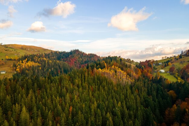 Vista aerea del lontano villaggio con piccole case di pastori su ampi prati collinari tra alberi forestali autunnali nelle montagne dei Carpazi ucraini al tramonto.