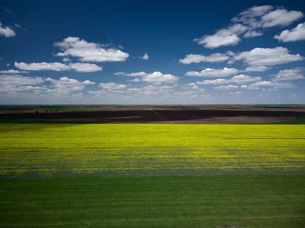 Vista aerea del paesaggio con campi agricoli di colza gialla, primavera.