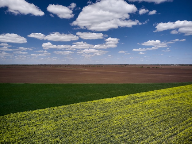 Vista aerea del paesaggio con campi agricoli di colza gialla, primavera.