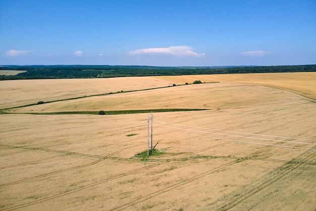 Vista aerea del paesaggio del campo agricolo coltivato giallo con grano maturo in una luminosa giornata estiva