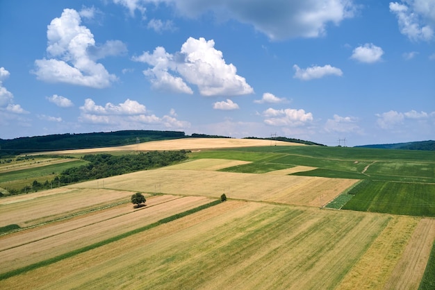 Vista aerea del paesaggio di campi agricoli coltivati verdi e gialli con colture in crescita in luminose giornate estive.