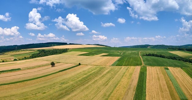 Vista aerea del paesaggio di verdi campi agricoli coltivati con colture in crescita in luminose giornate estive.