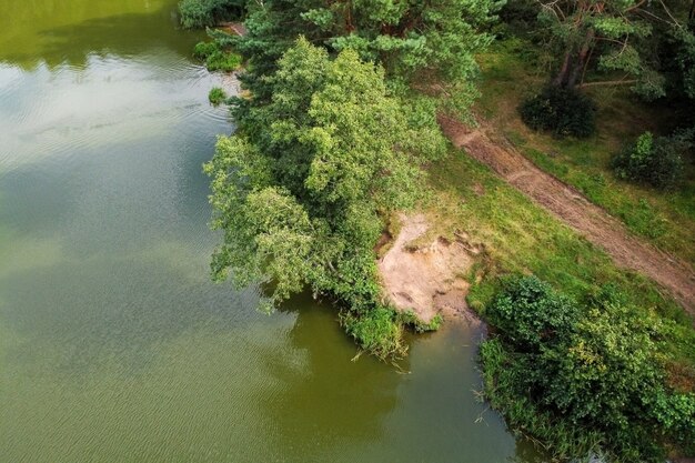 Vista aerea del paesaggio estivo con fiume e alberi verdi